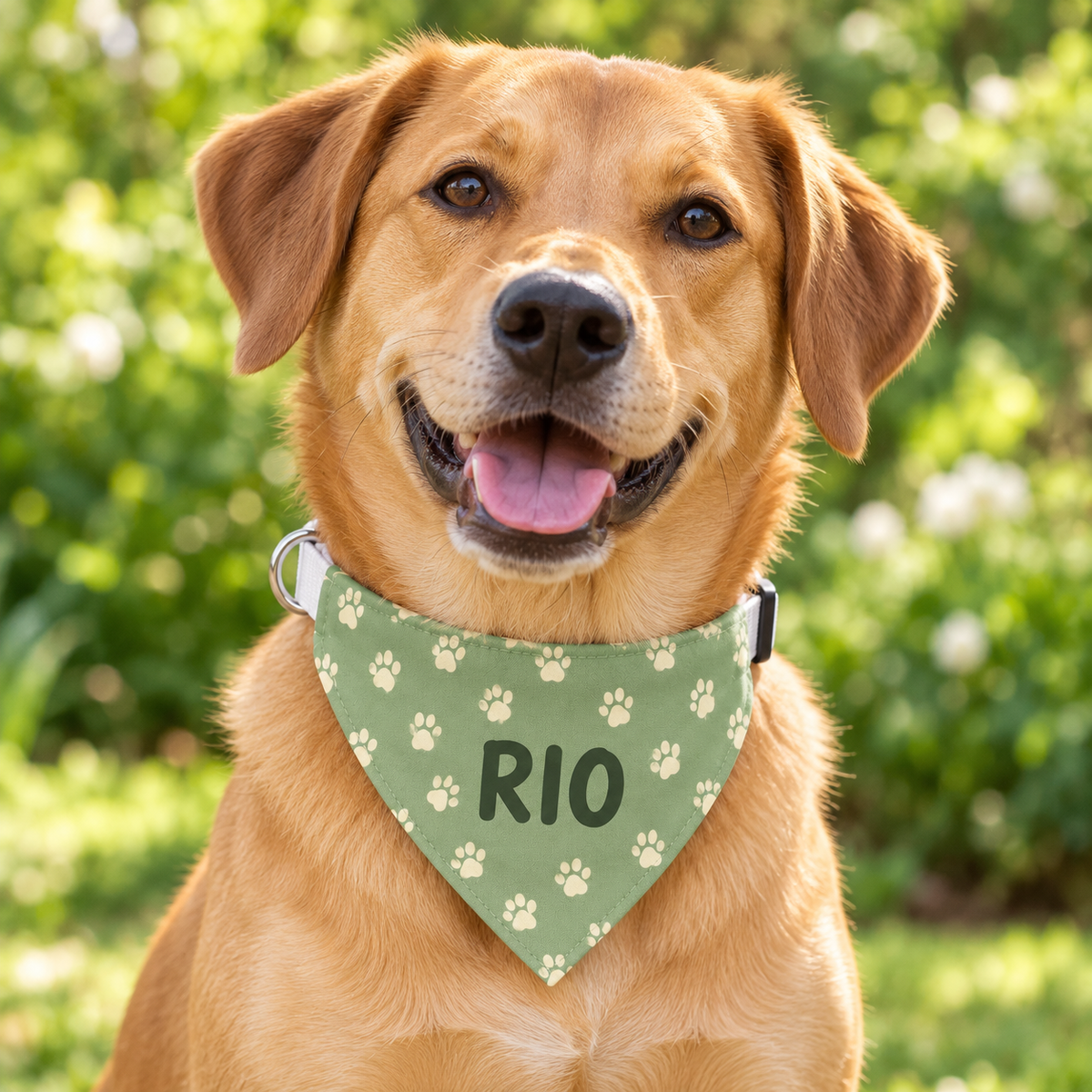 Bandana avec collier personnalisé pour chien – Prénom et motif au choix