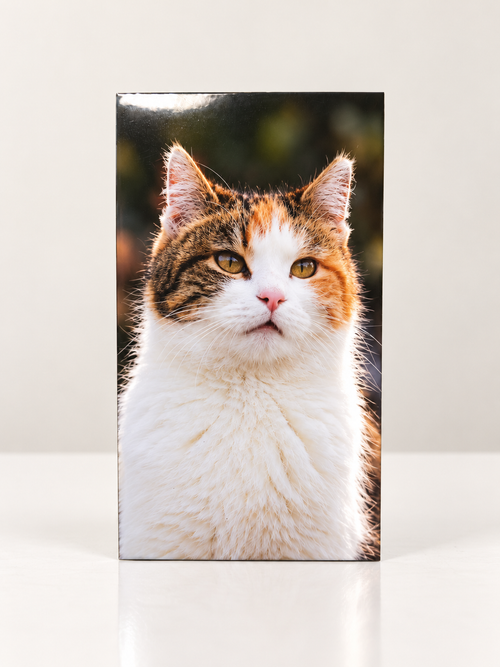 Magnet personnalisé – Photo, prénom ou motif – Laminé à froid