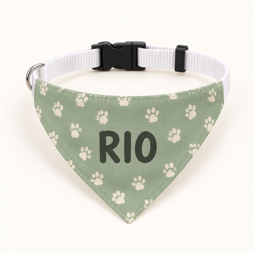 Bandana avec collier personnalisé pour chien – Prénom et motif au choix