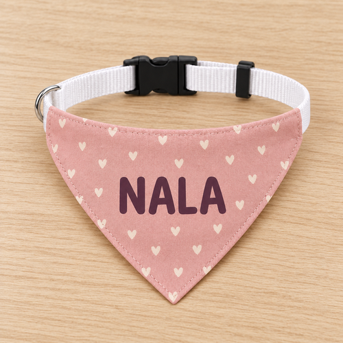 Bandana avec collier personnalisé pour chien – Prénom et motif au choix