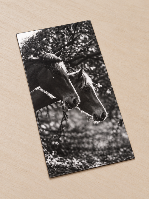 Magnet  personnalisé – Photo, prénom ou motif – Laminé à froid
