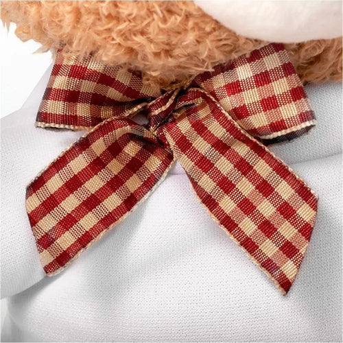 Ours en peluche avec T-shirt personnalisé — 18 cm