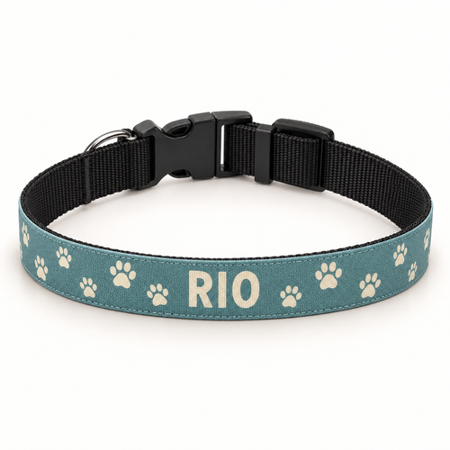 Collier pour chien personnalisé – Prénom et motifs au choix
