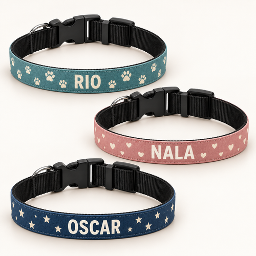 Collier pour chien personnalisé – Prénom et motifs au choix
